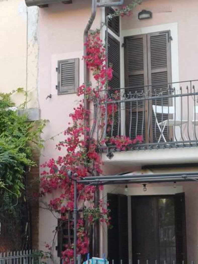 Bouganville House Senigallia Dış mekan fotoğraf